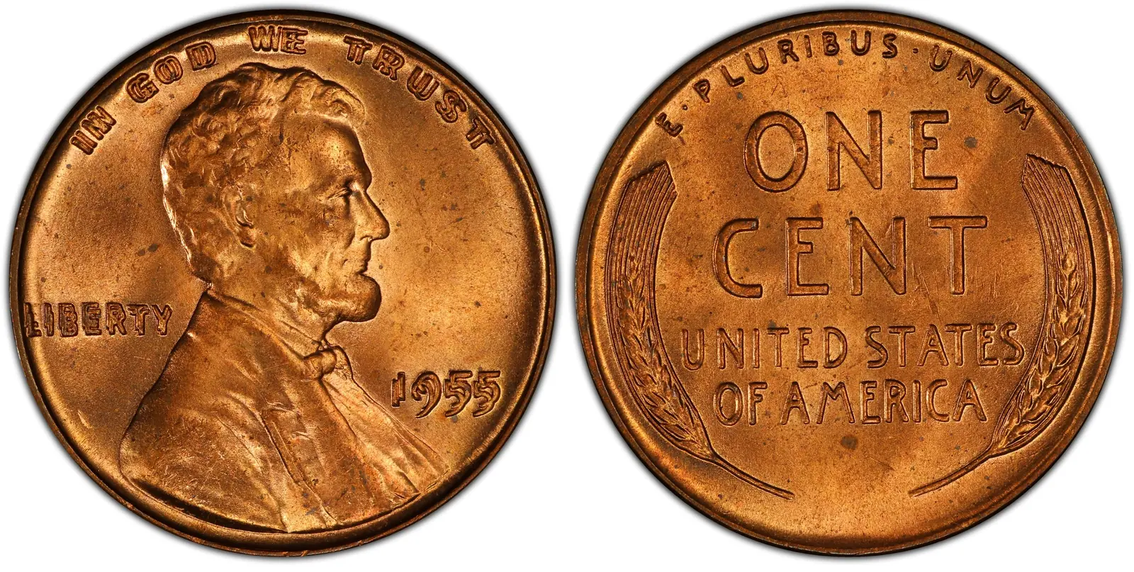 Close-up of the doubled date and lettering on a 1955 doubled die cent